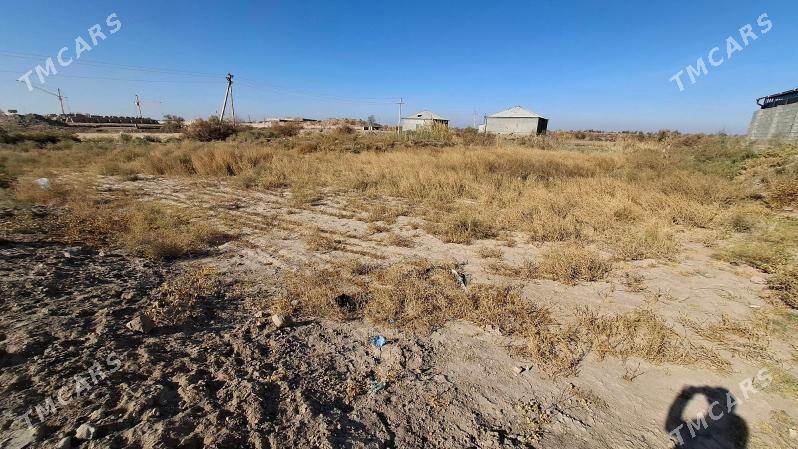 Mellek yer - Гороглы (Тагта) - img 4