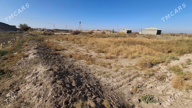 Mellek yer - Гороглы (Тагта) - img 5