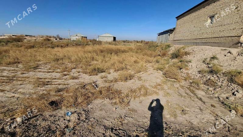 Mellek yer - Гороглы (Тагта) - img 2