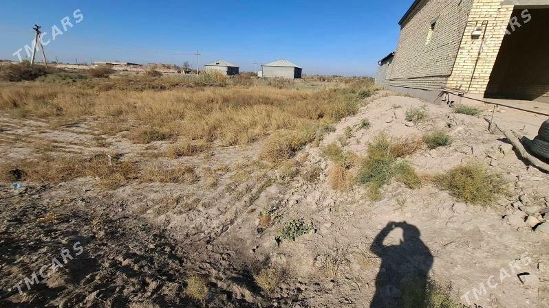 Mellek yer - Гороглы (Тагта) - img 1