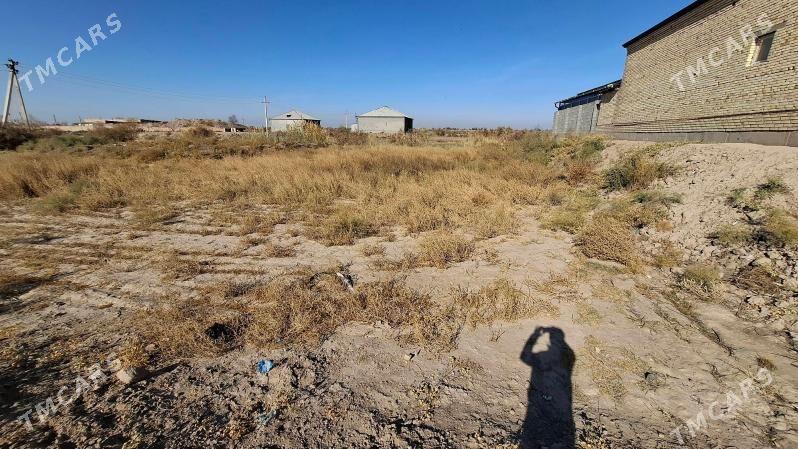 Mellek yer - Гороглы (Тагта) - img 7