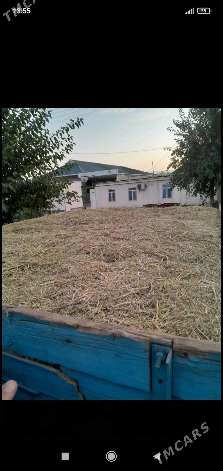 yannak - Гёкдепе - img 2