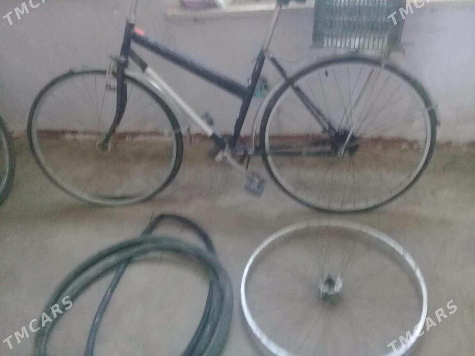 tigir - Яшлык - img 1