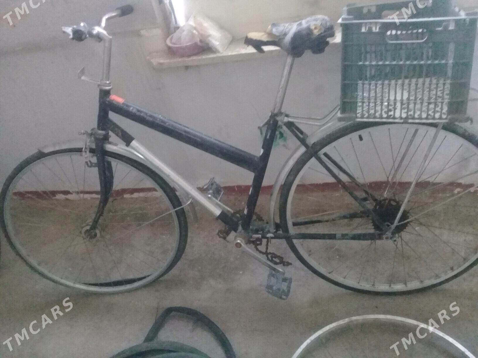 tigir - Яшлык - img 3