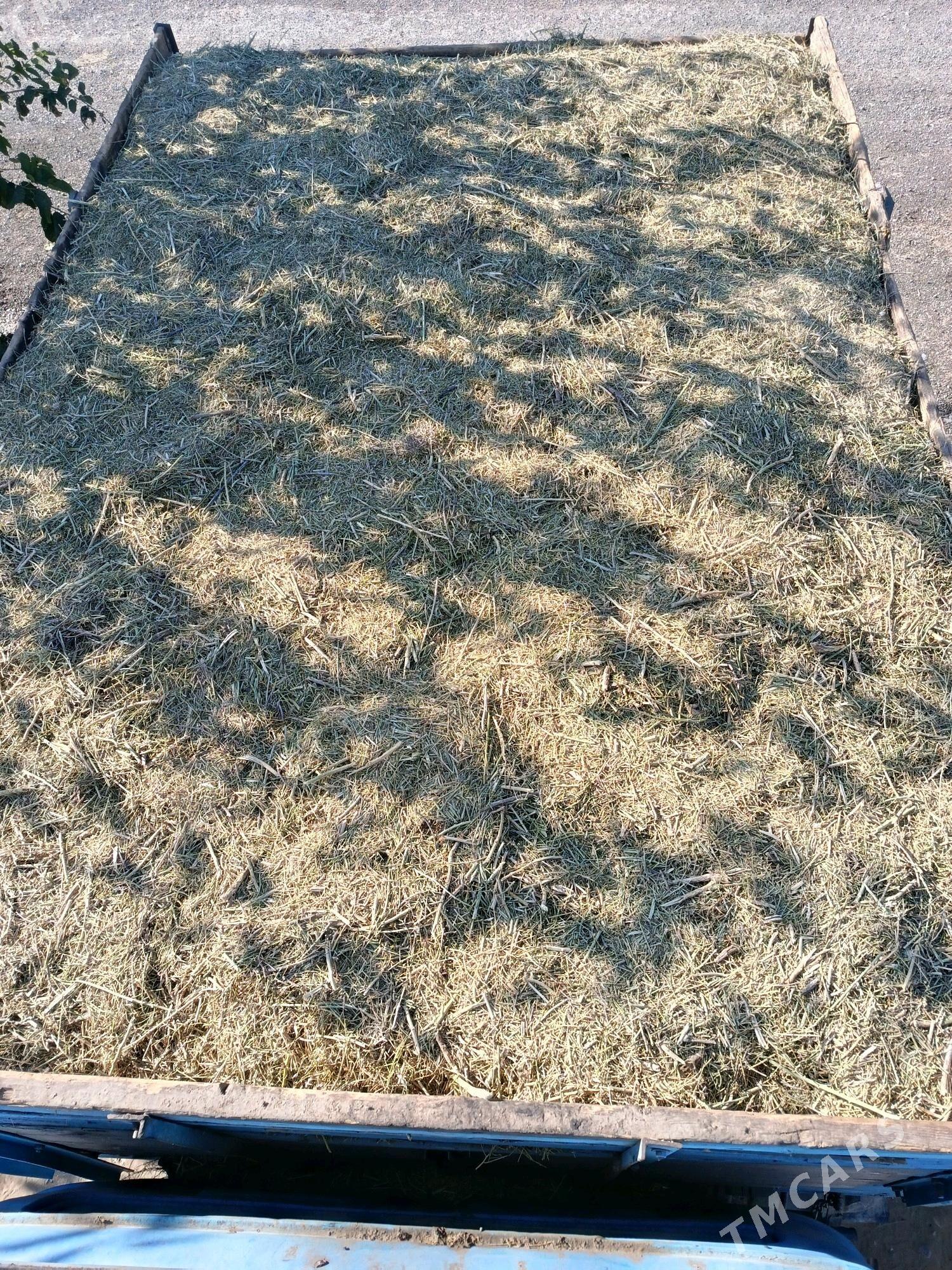 yannak - Гёкдепе - img 7