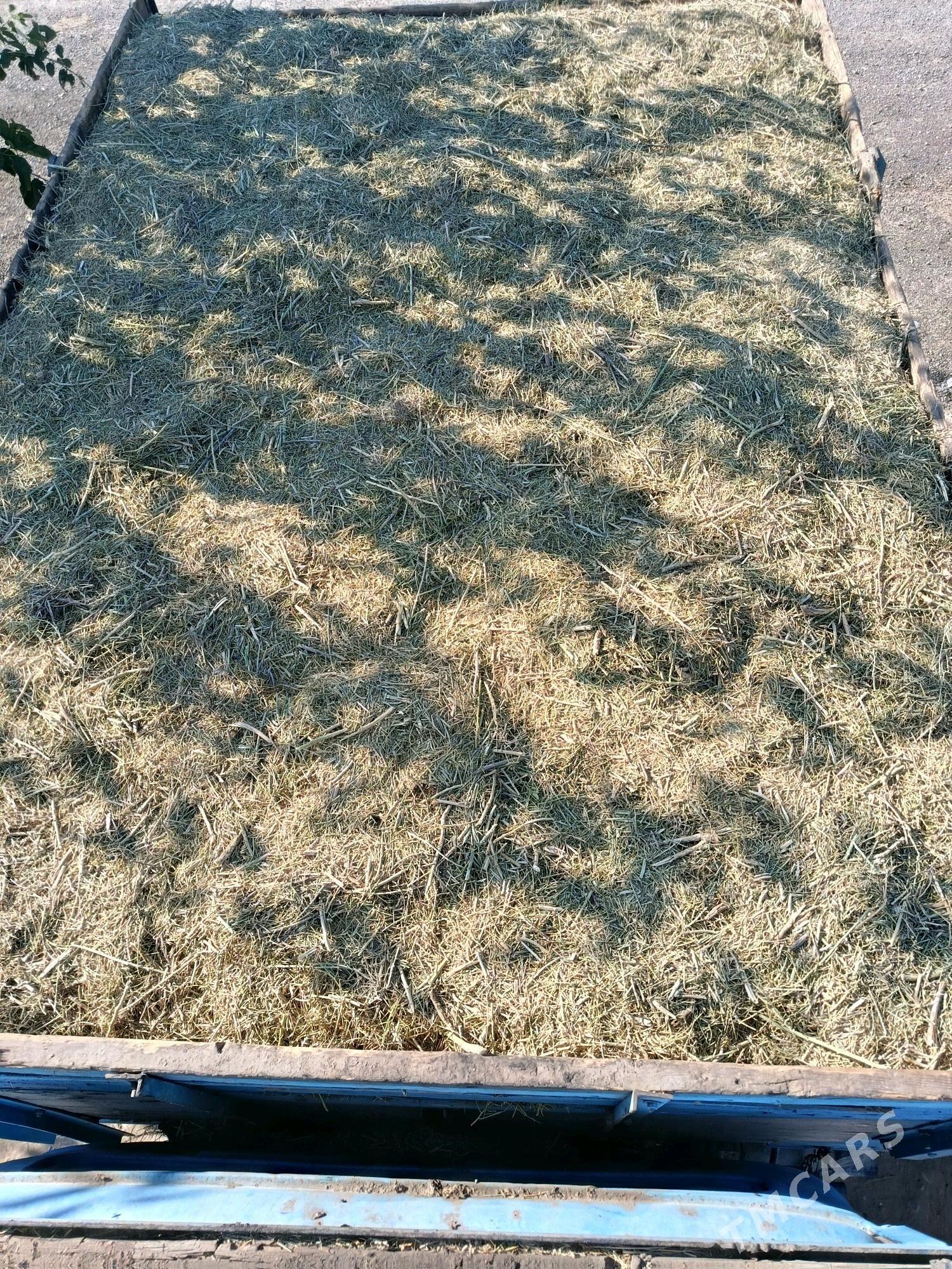 yannak - Гёкдепе - img 6