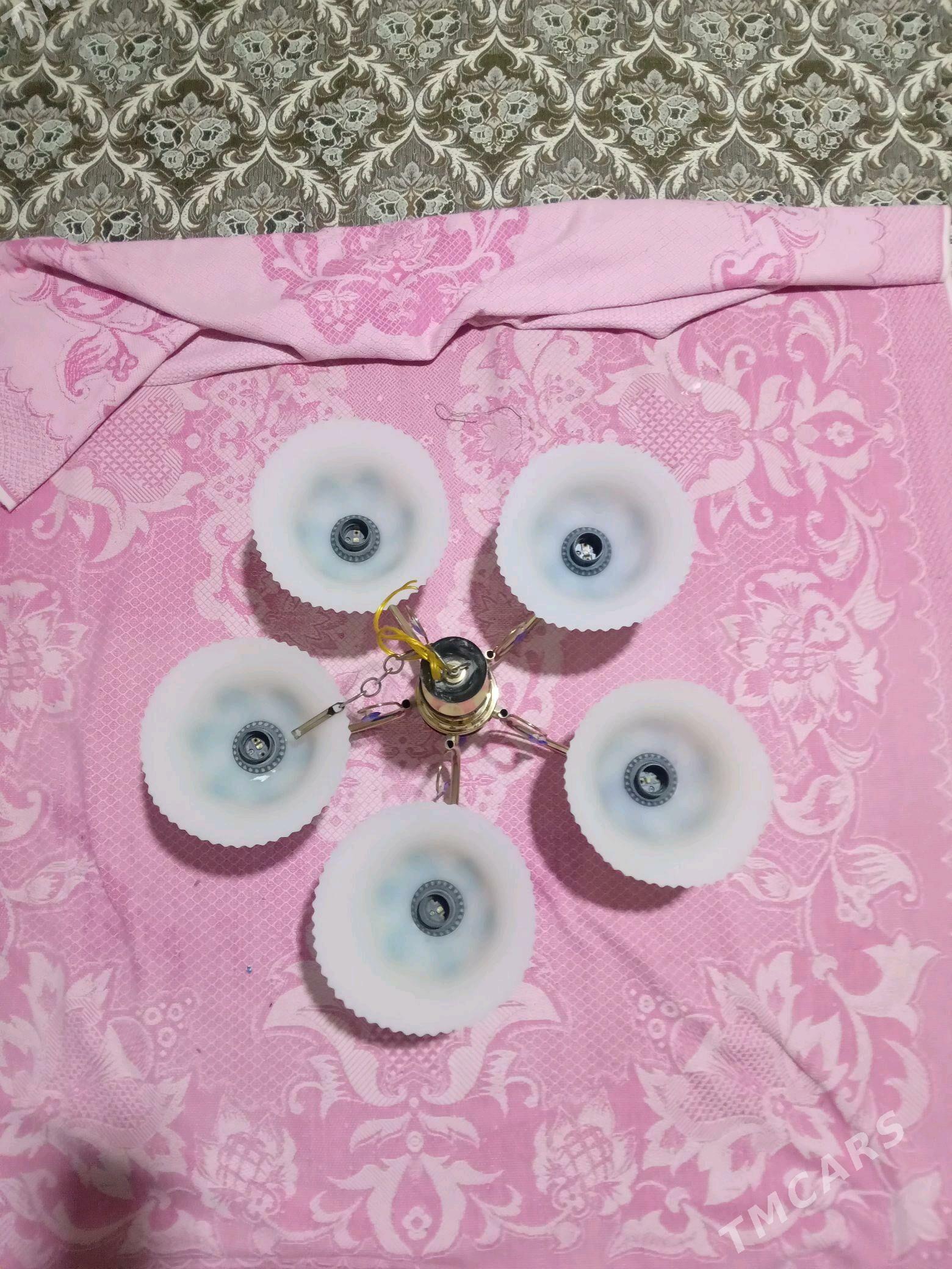 Lýustralar - Ашхабад - img 2