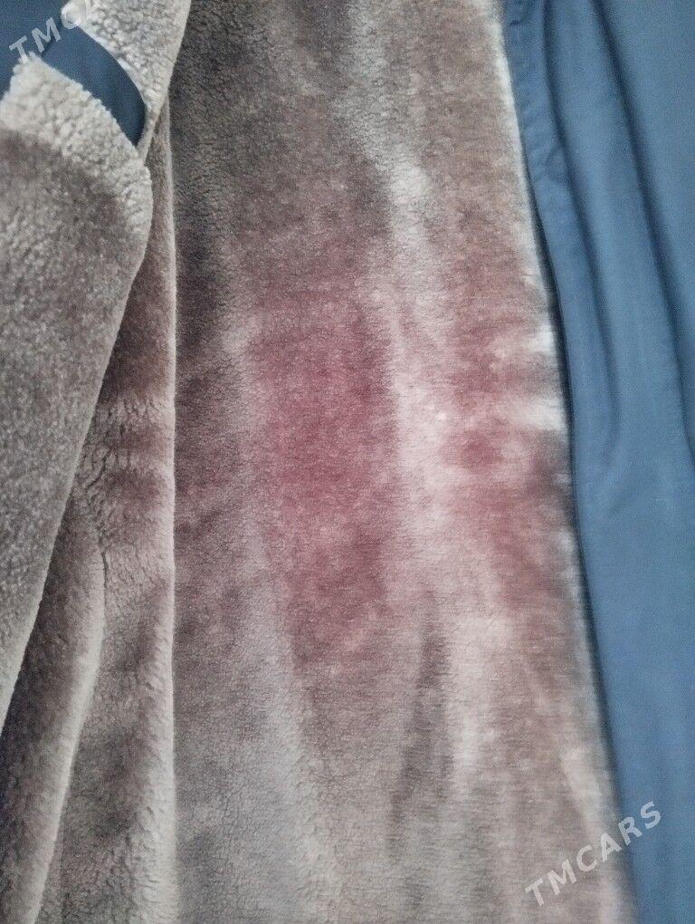 Erkek kurtka - Türkmenabat - img 2