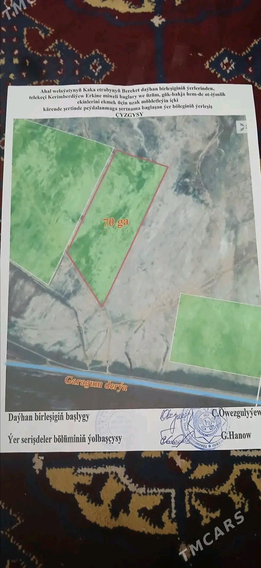 kärende mellek ýer - Kaka - img 1