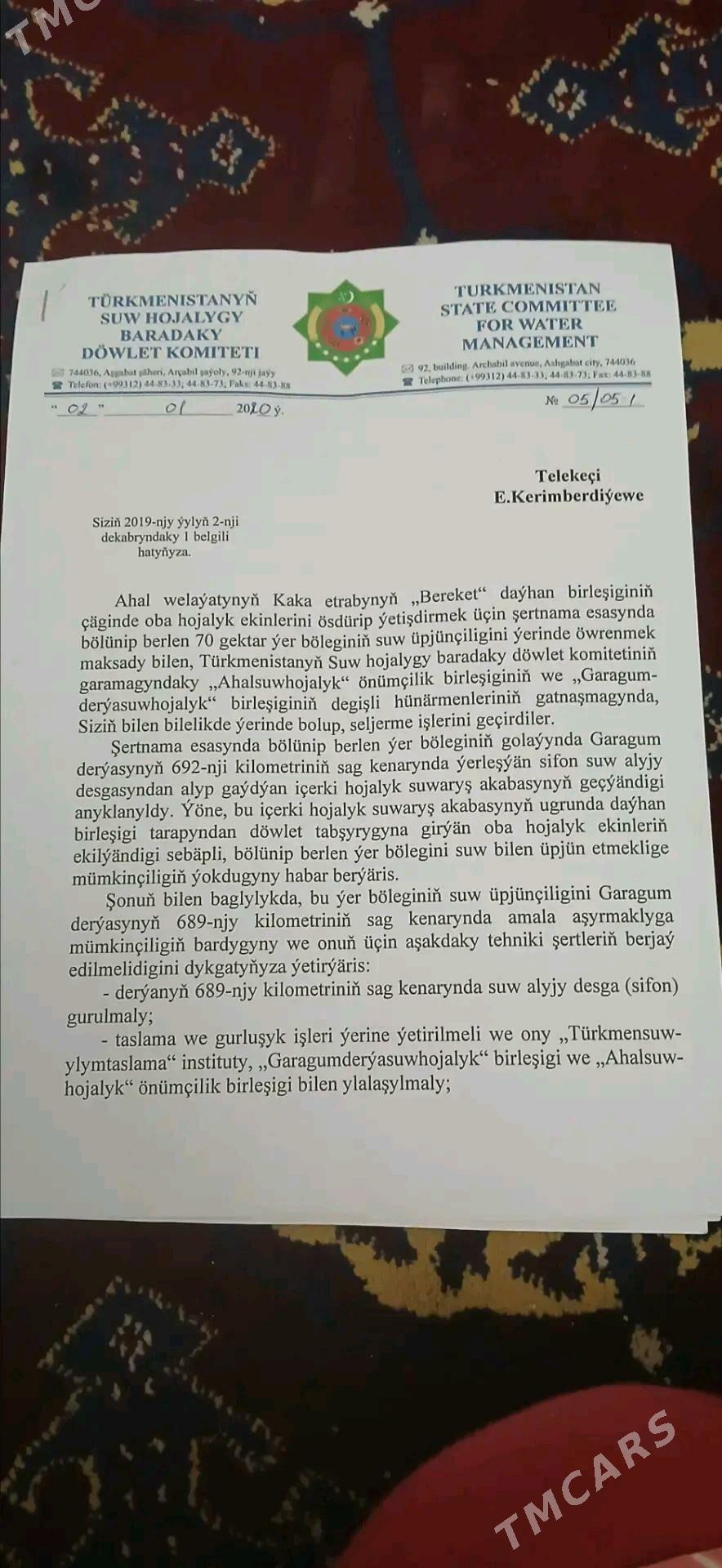 kärende mellek ýer - Kaka - img 2