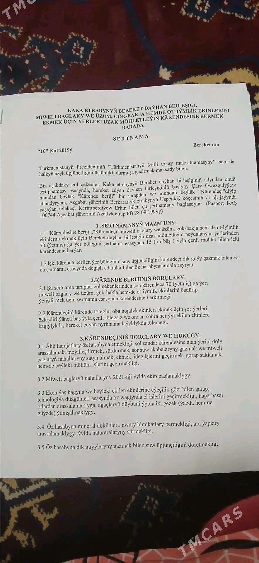 kärende mellek ýer - Kaka - img 4