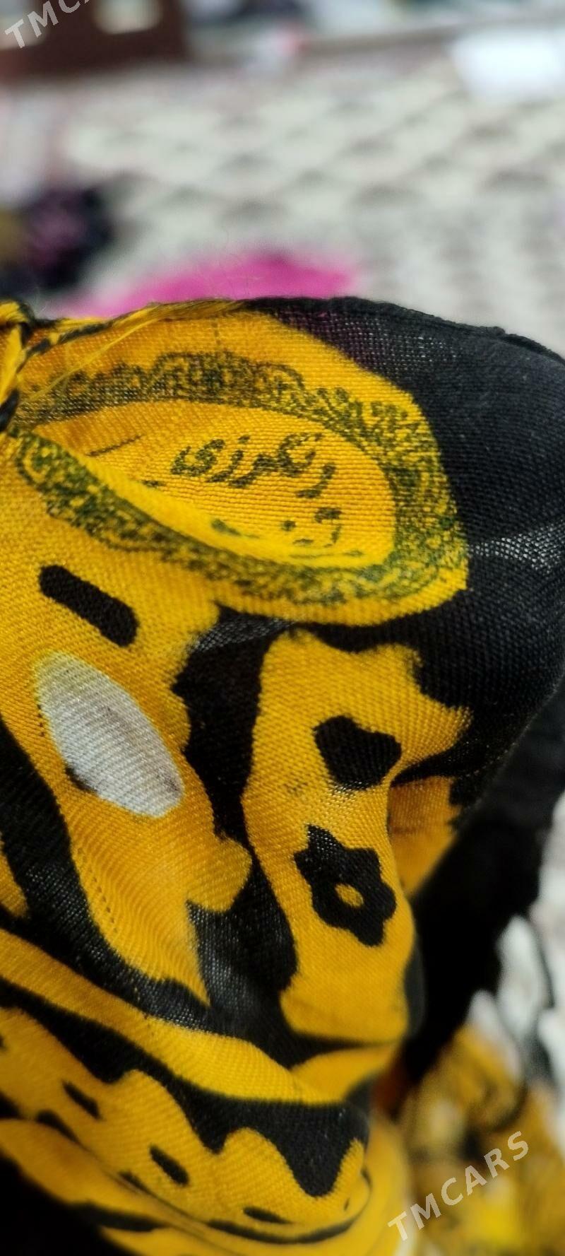 Cille oyme - Büzmeýin GRES - img 4