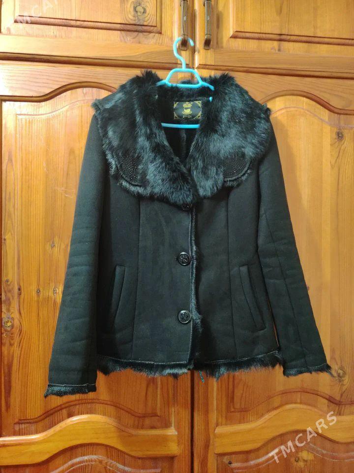 palto - Daşoguz - img 1