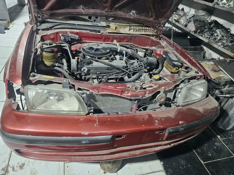 tersel 1998 morda 1 000 TMT - Mary - img 2