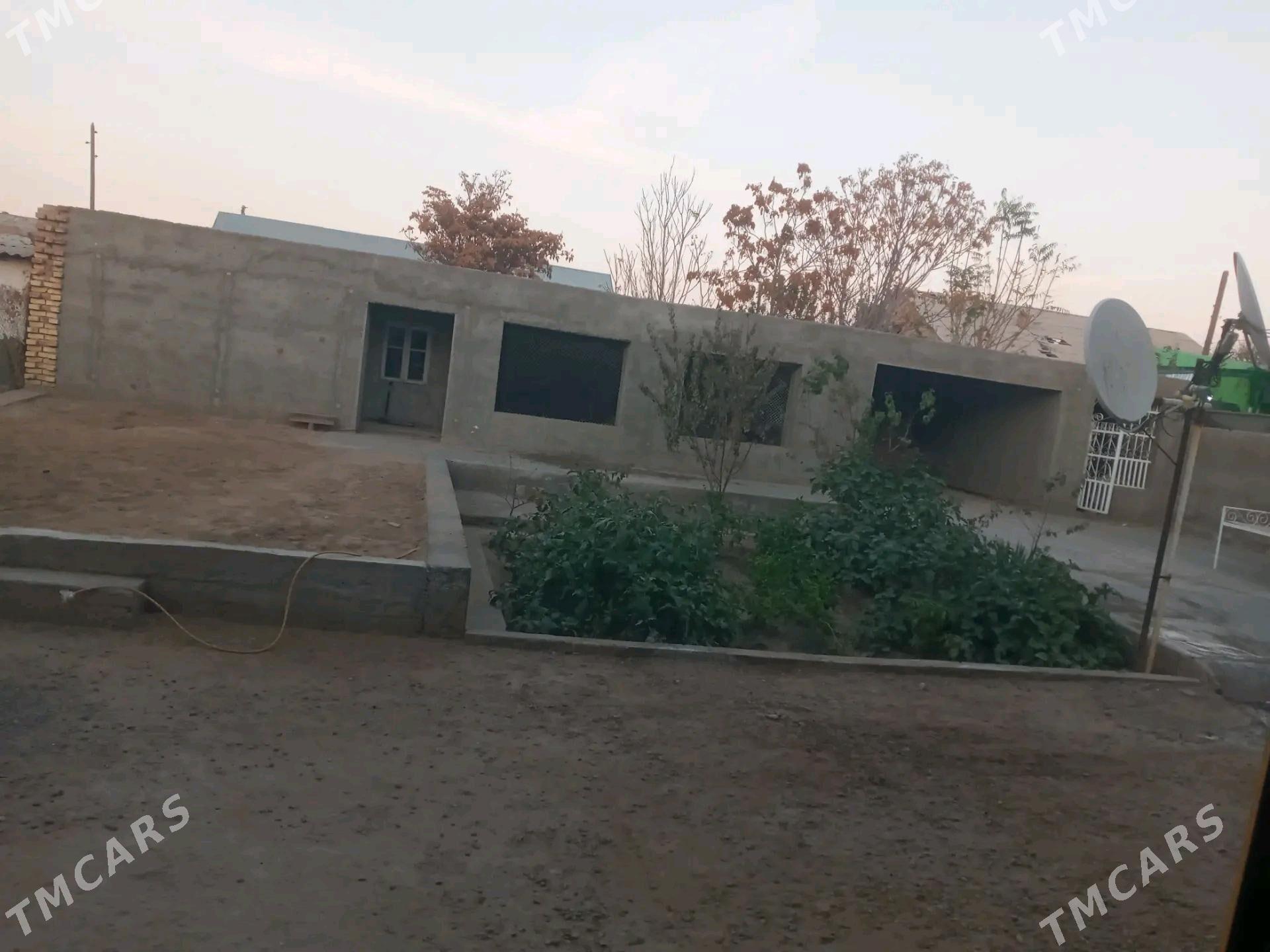 Satlyk Plan jaý - Ёлётен - img 10