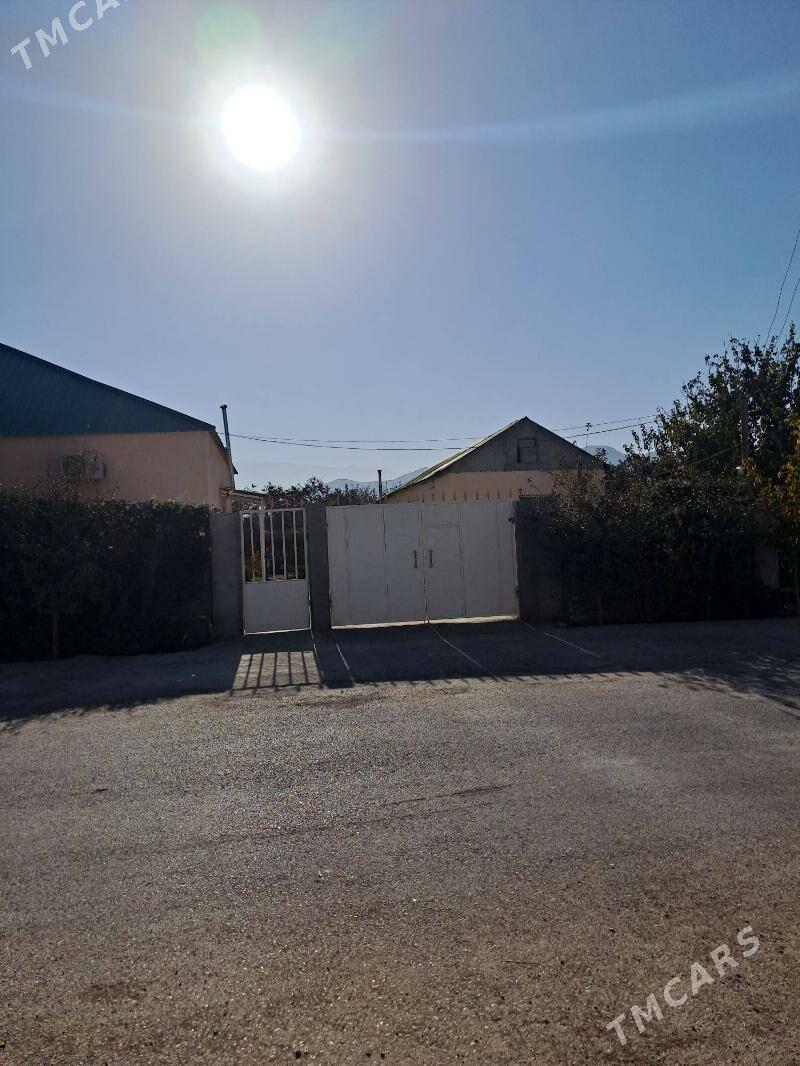 bagyr - Bagyr - img 3