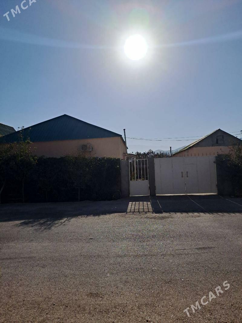 bagyr - Bagyr - img 2