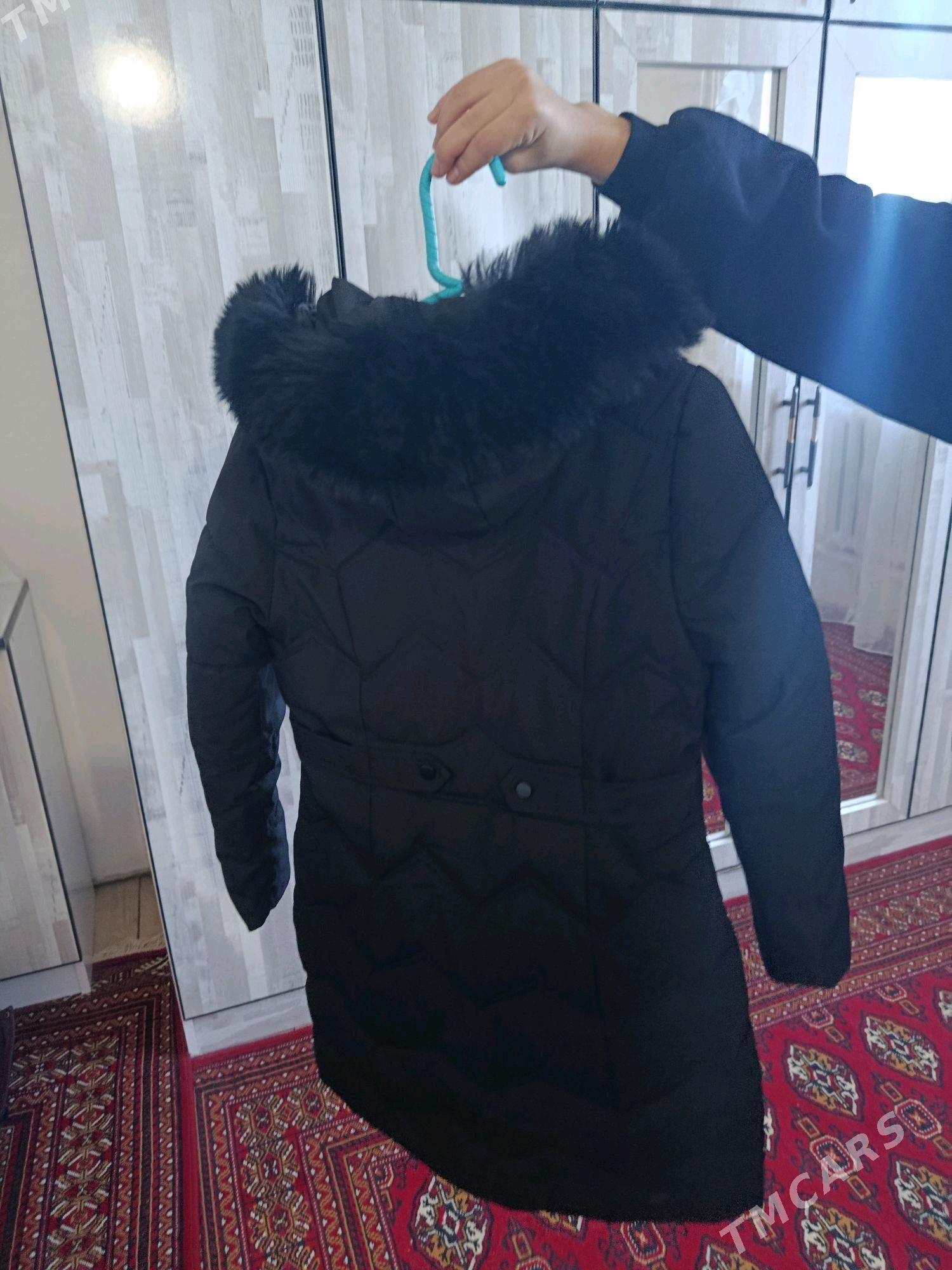 Kurtka - Daşoguz - img 1