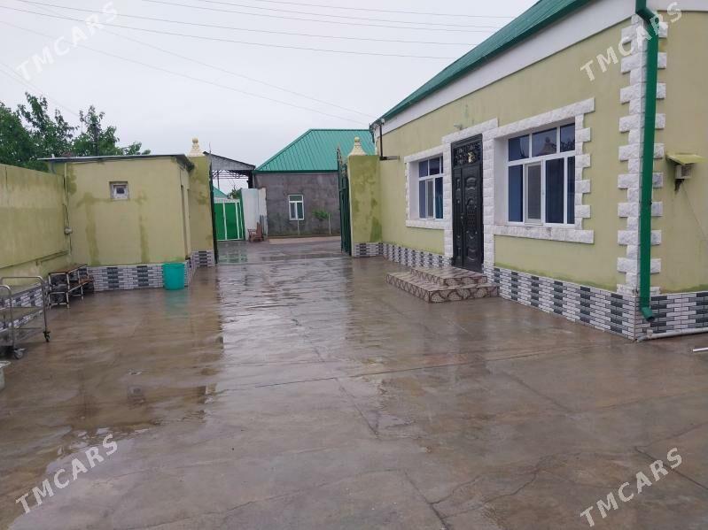 план жай грес гюнеш - Büzmeýin - img 2