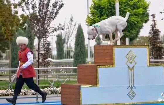 gujuk - Aşgabat - img 3