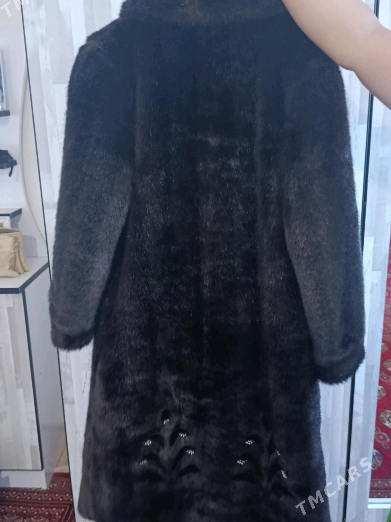 Šuba - Дашогуз - img 1