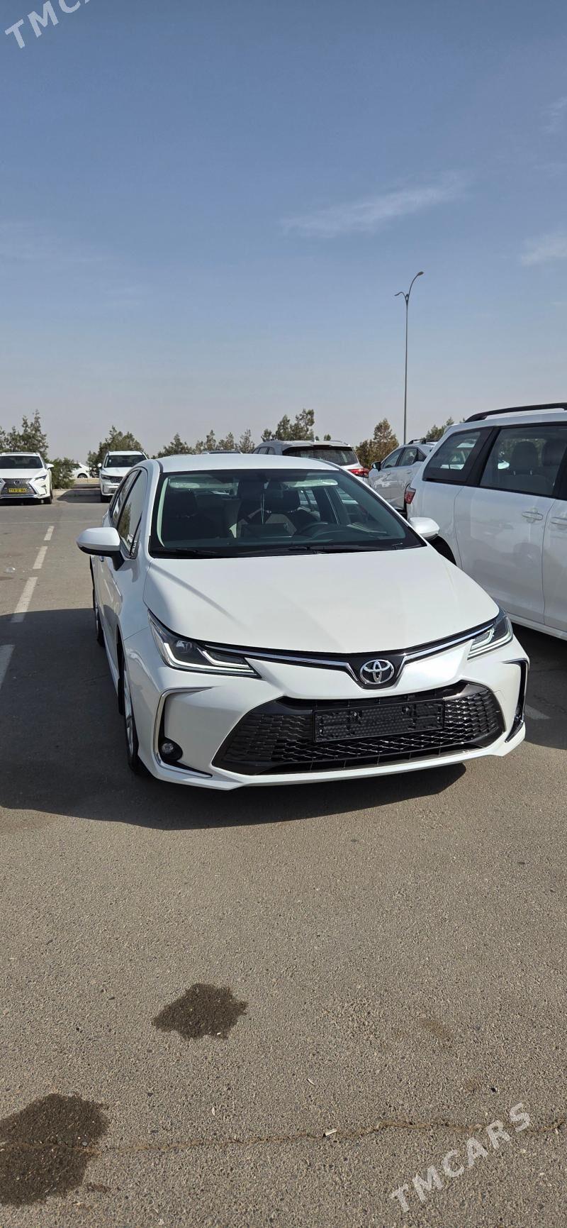 Toyota Corolla 2024 - 325 000 TMT - Gökdepe - img 3