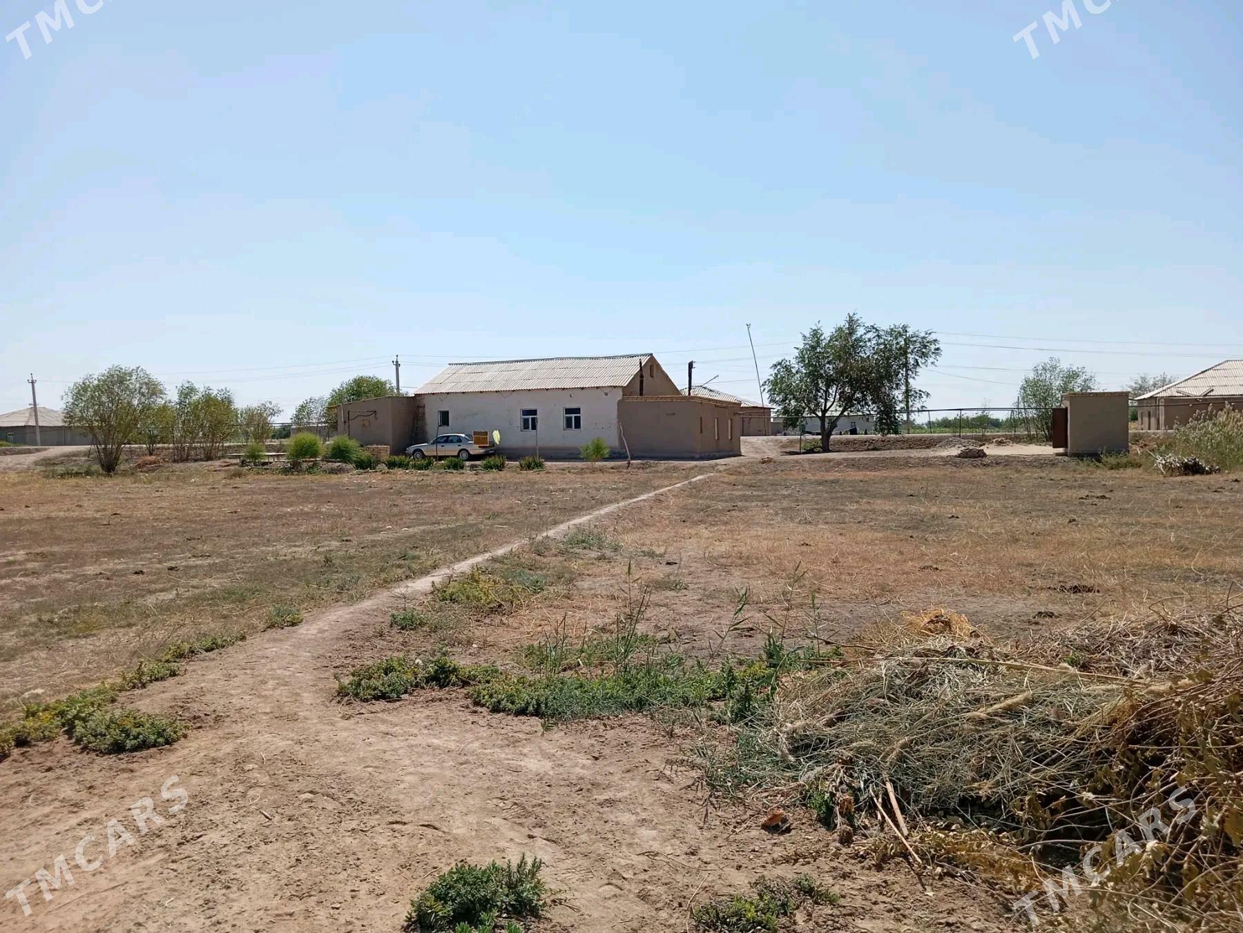 Jay - Görogly (Tagta) - img 4