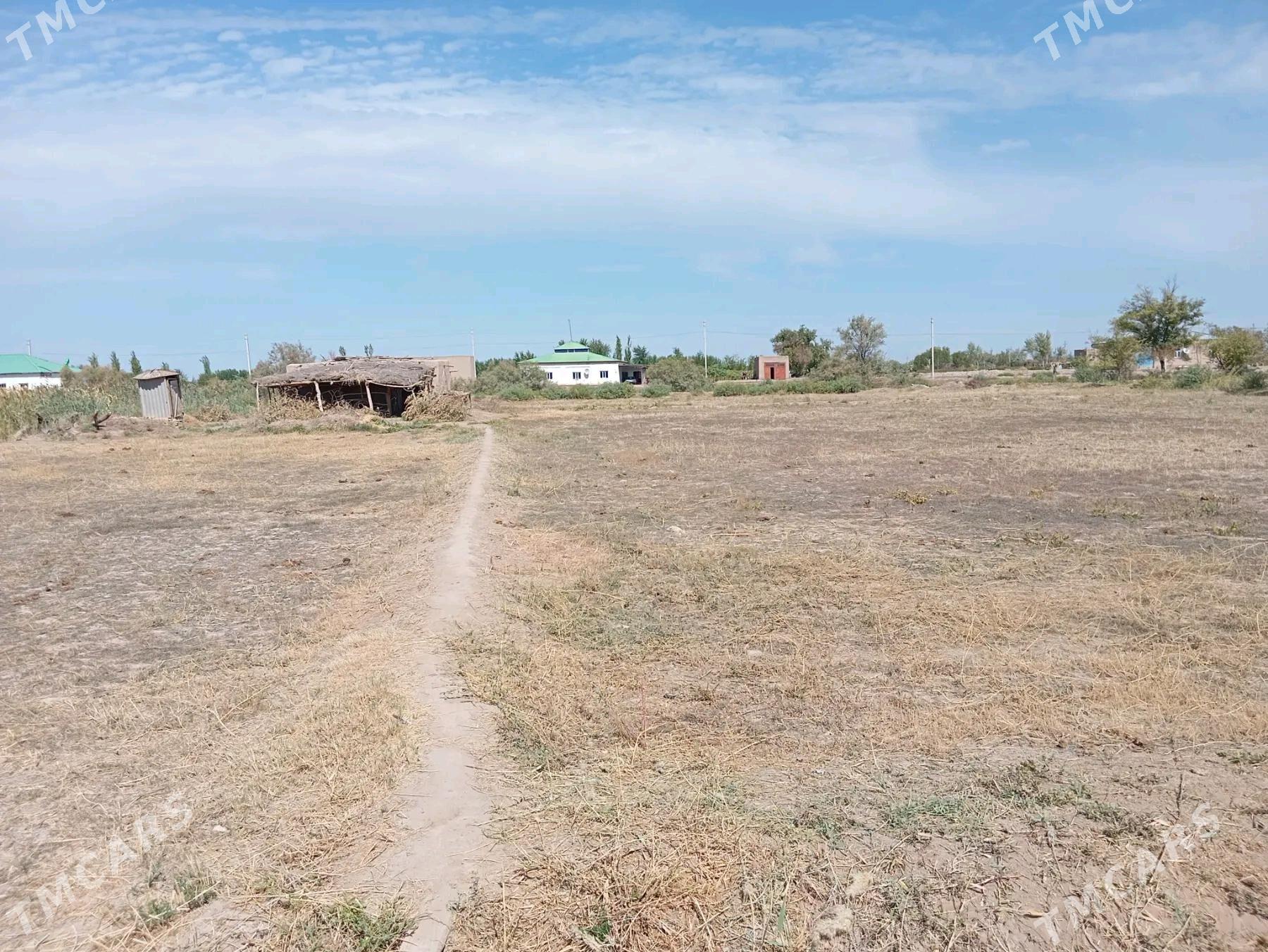 Jay - Görogly (Tagta) - img 6