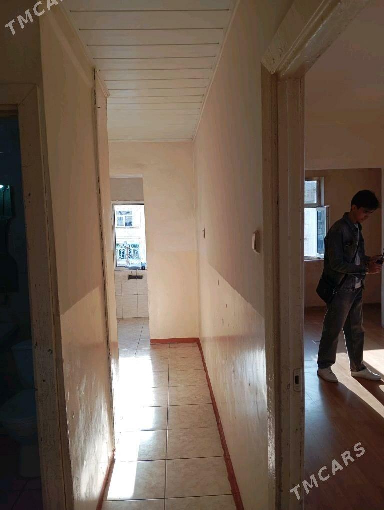 Satlyk jay  - Мары - img 10