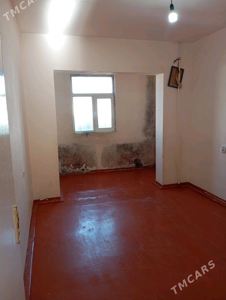 Satlyk jay  - Мары - img 6