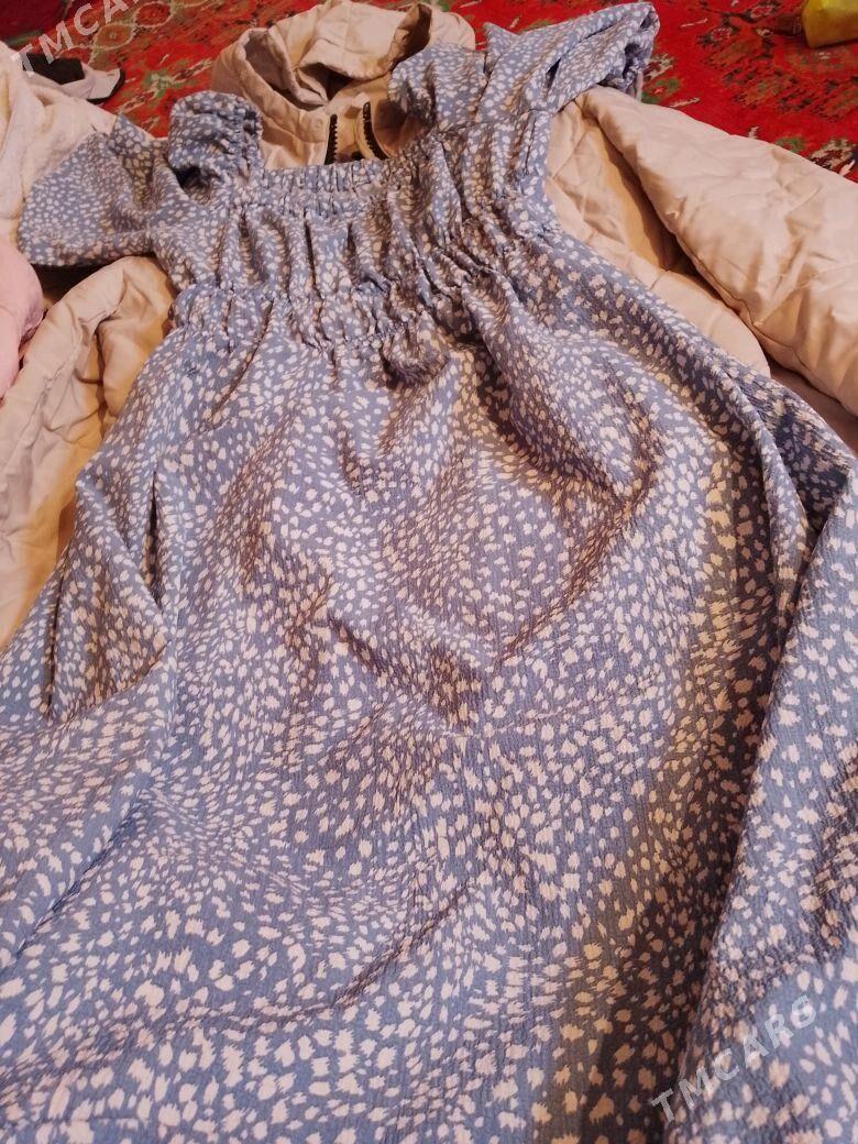 kurtga - Туркменбаши - img 3