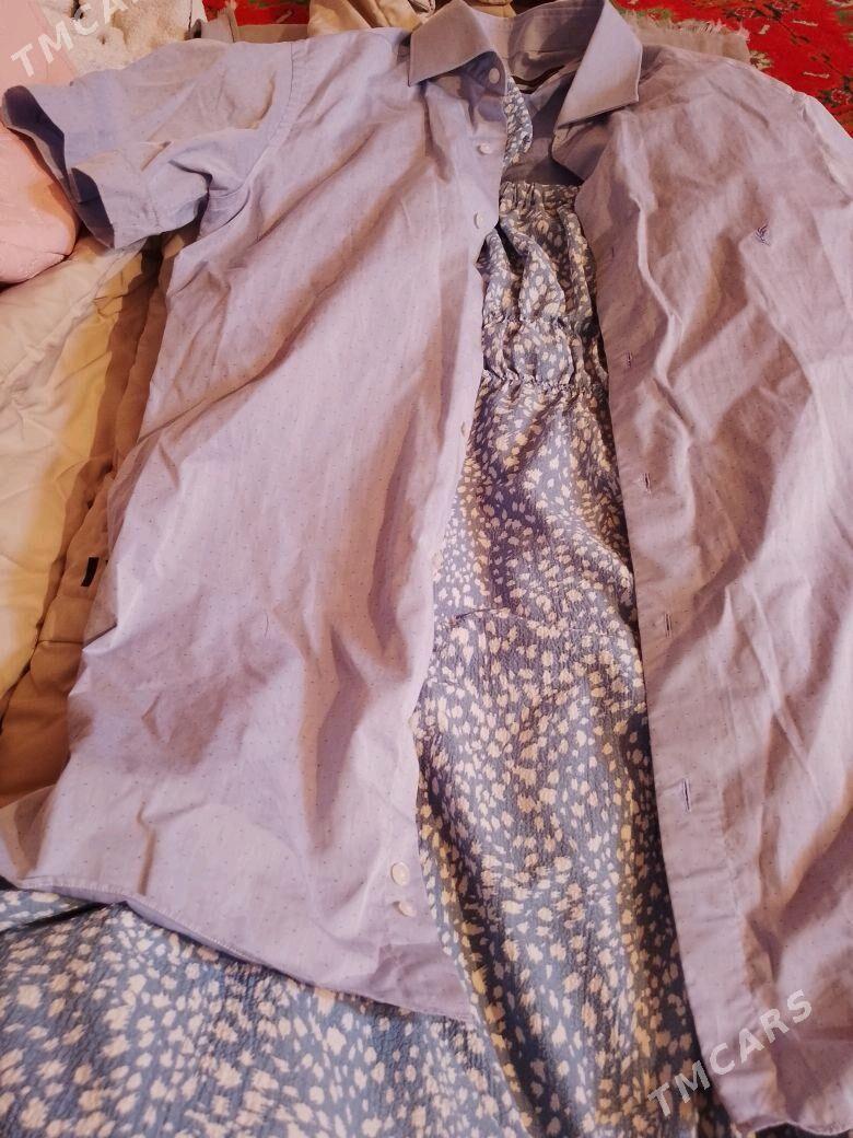 kurtga - Туркменбаши - img 4