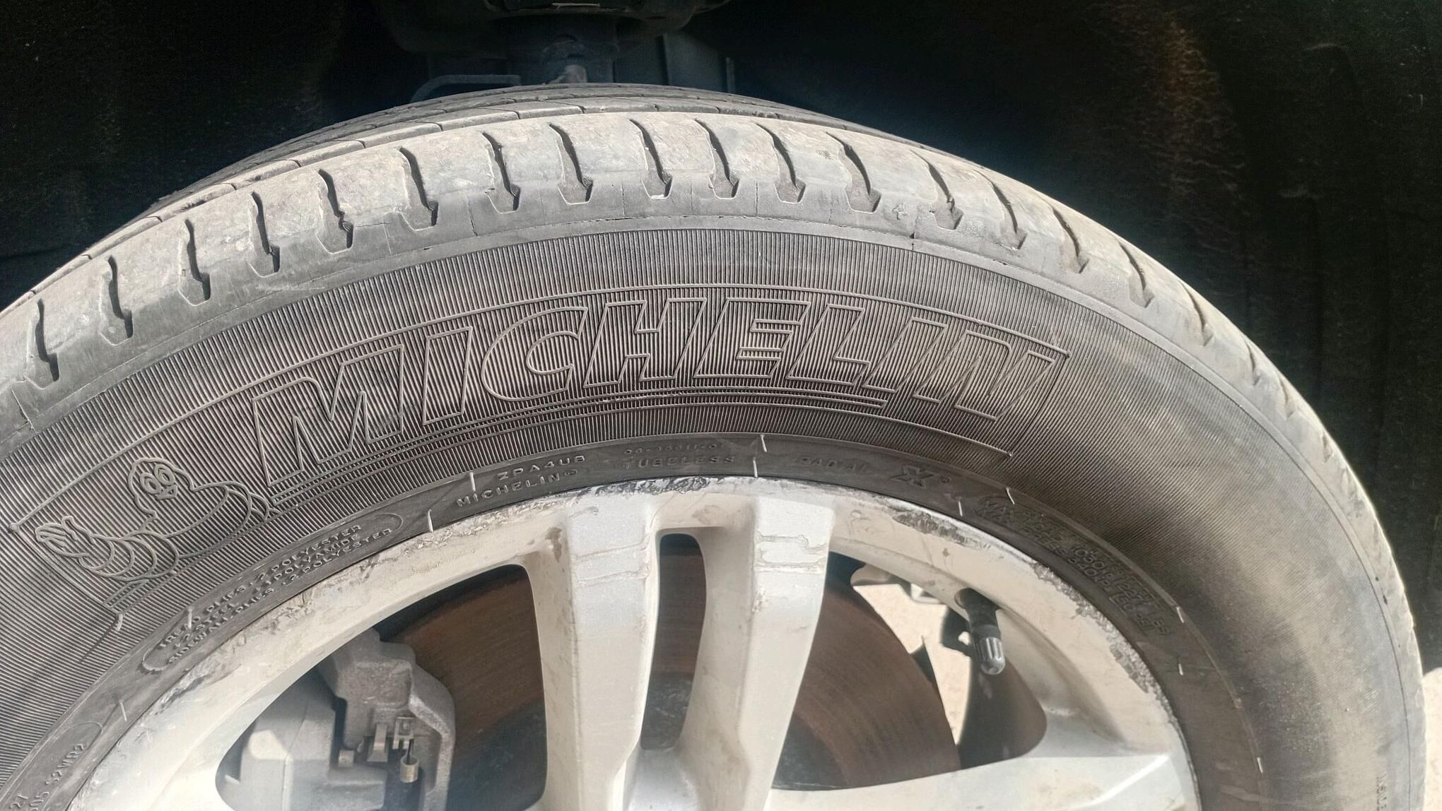 teger 200 TMT - Mary - img 1