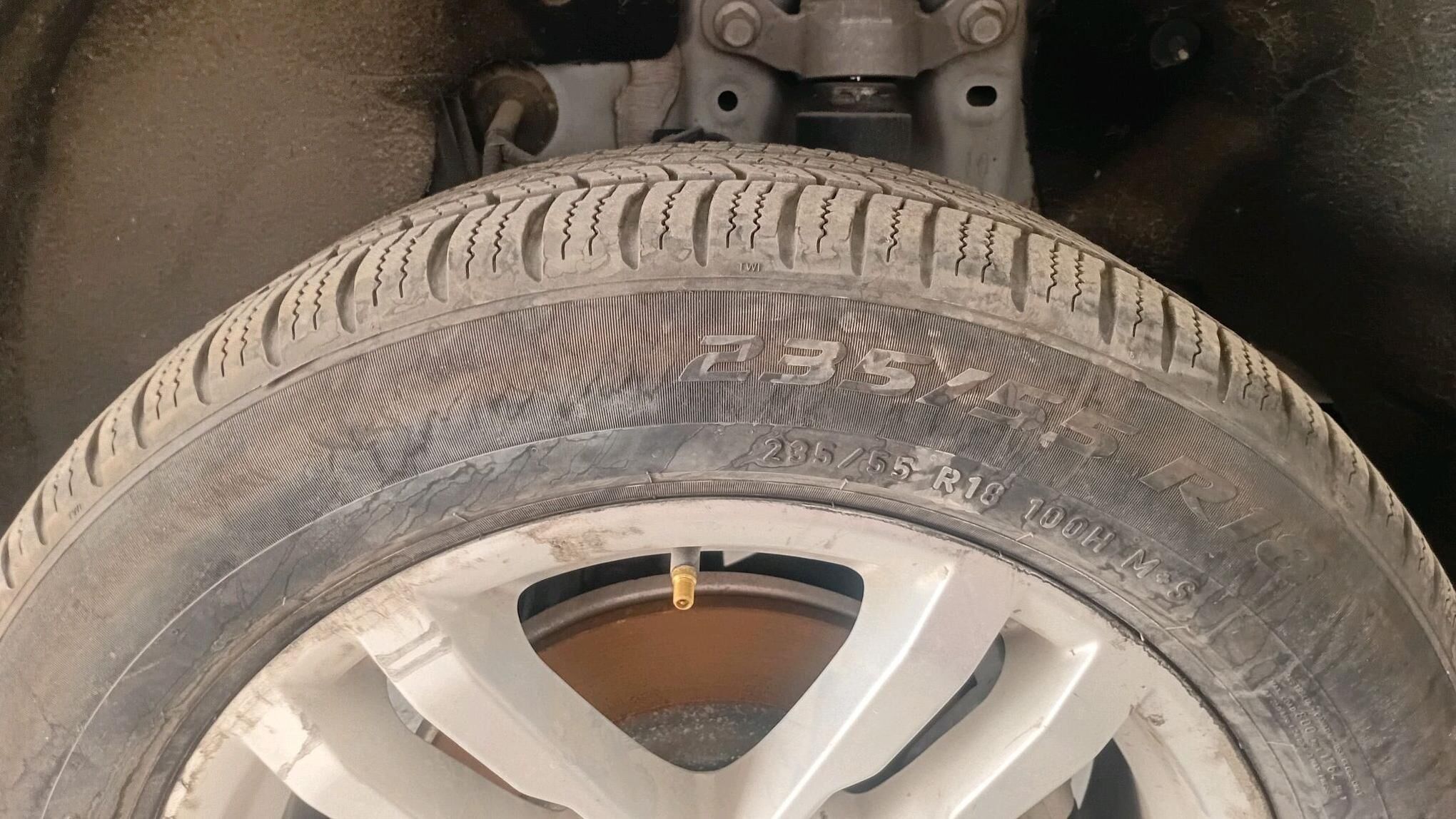 teger 200 TMT - Mary - img 2