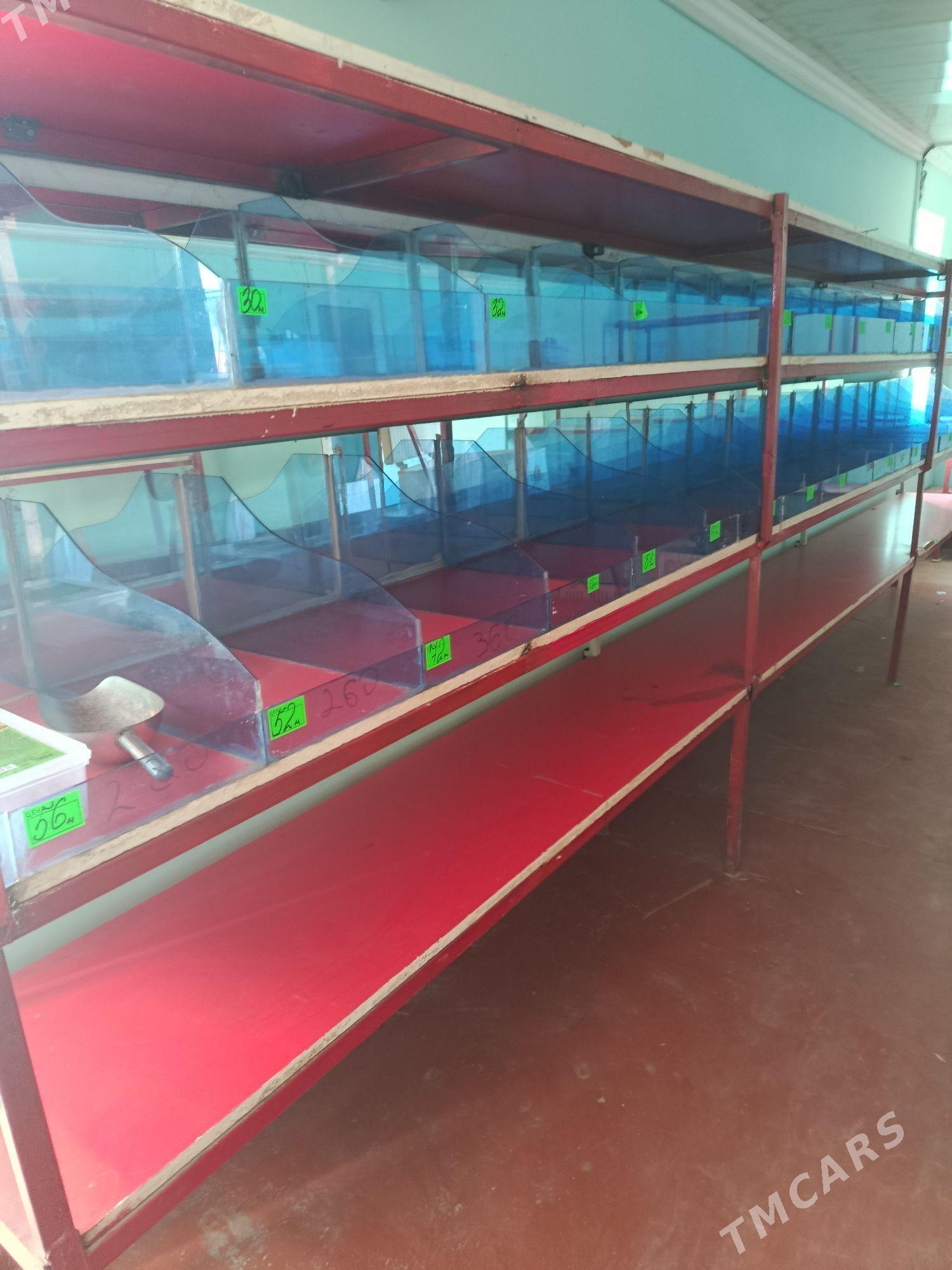 Magazyn polka - Mary - img 3