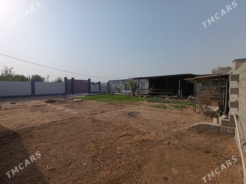 Satlyk jay herrikgala 6sotok - Aşgabat - img 3