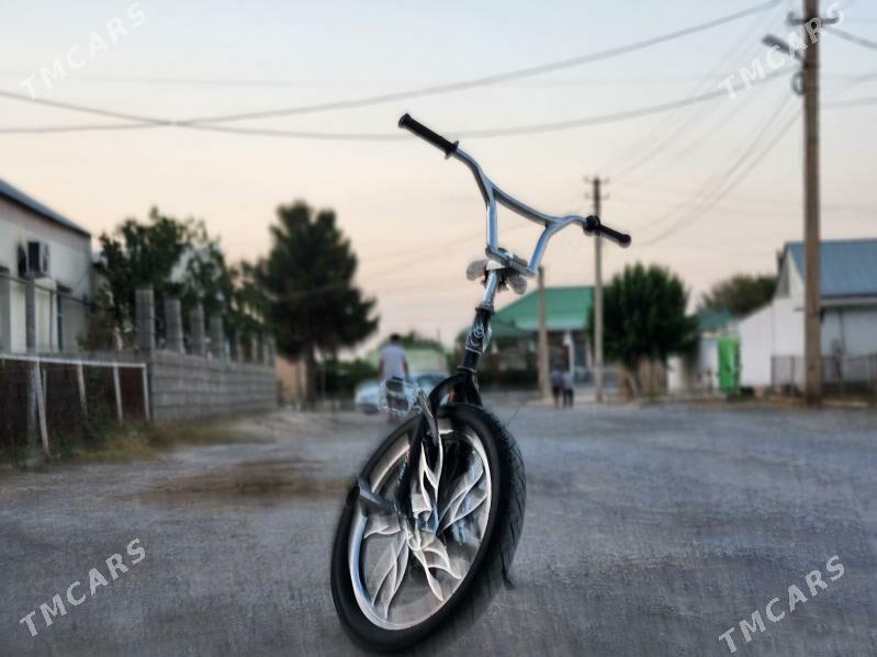 Satlyk tigir - Анев - img 2