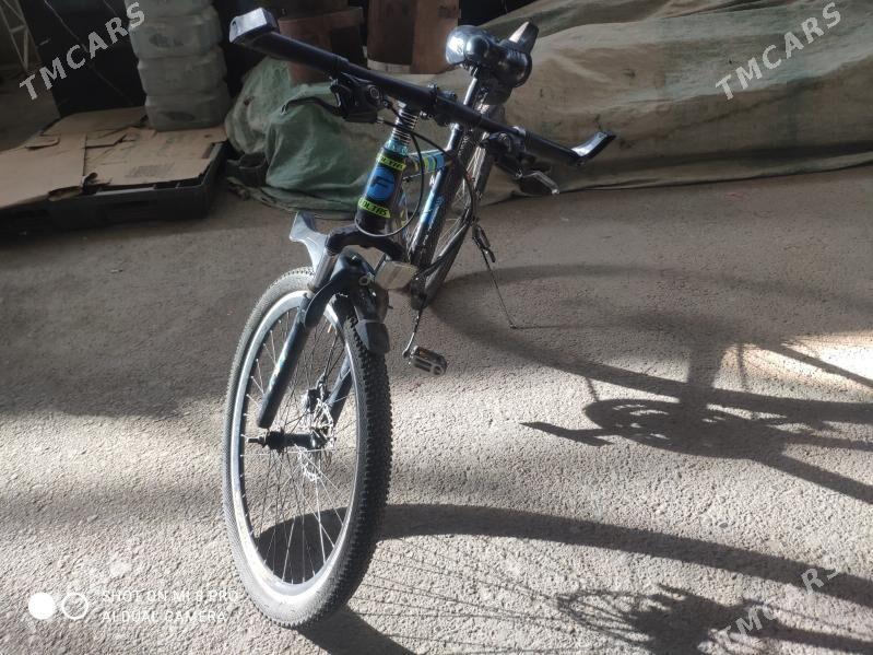 welsepet  skorsnoy - Мары - img 2