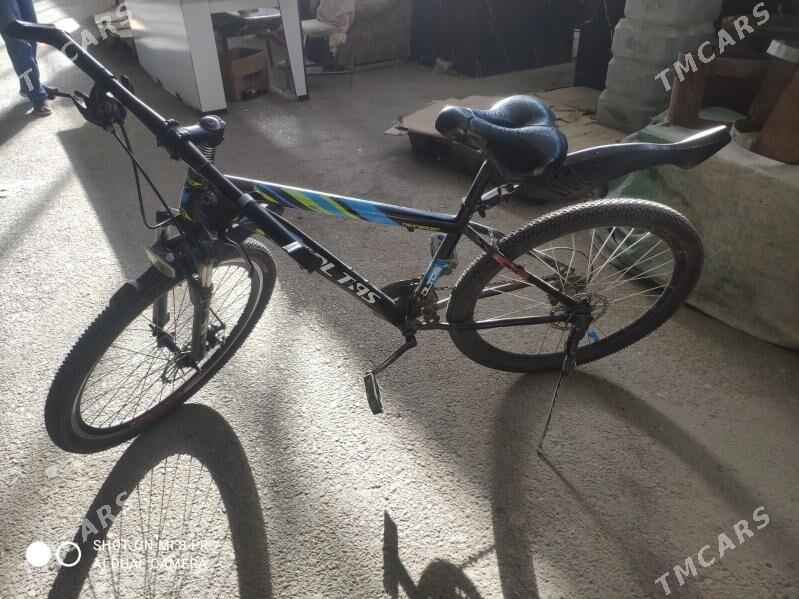 welsepet  skorsnoy - Мары - img 3