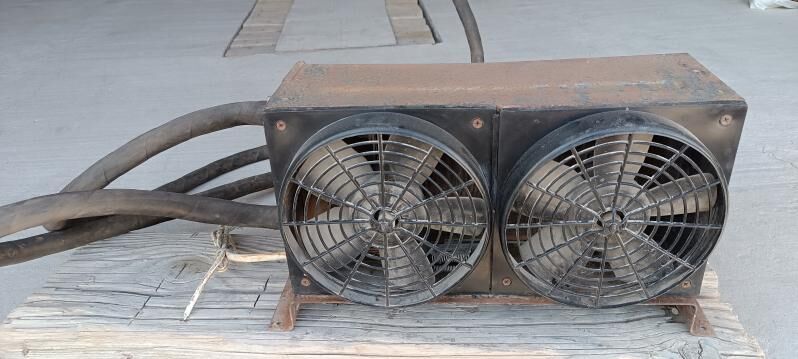 Zil şaýlary 100 TMT - Гумдаг - img 1