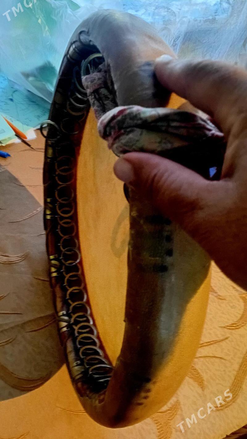 dayra - Dänew - img 1