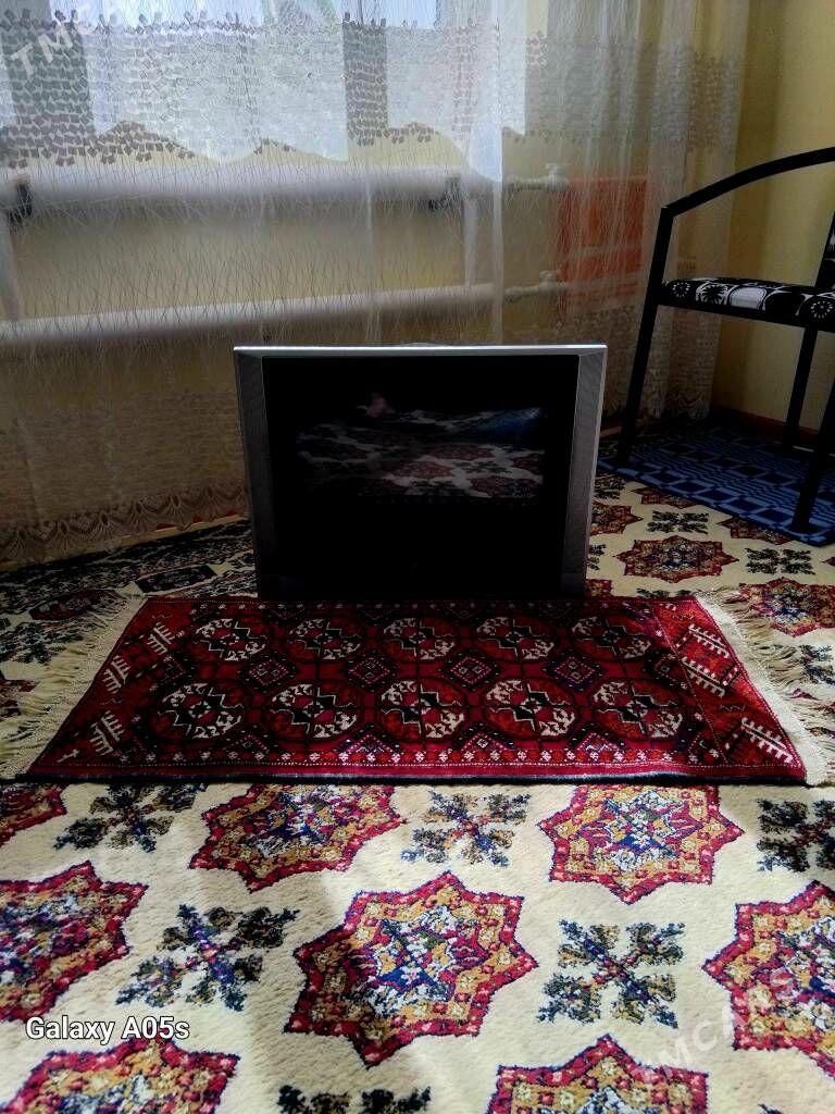 oy goslary - Ашхабад - img 3