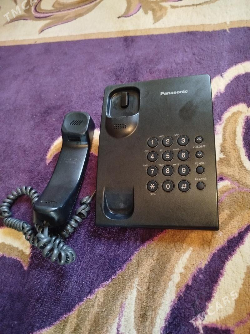 Damaşny - Gumdag - img 2