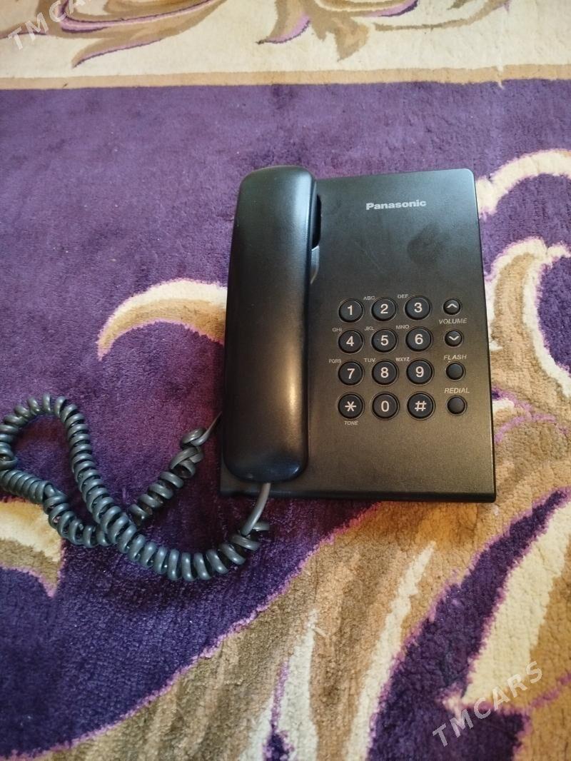 Damaşny - Gumdag - img 1