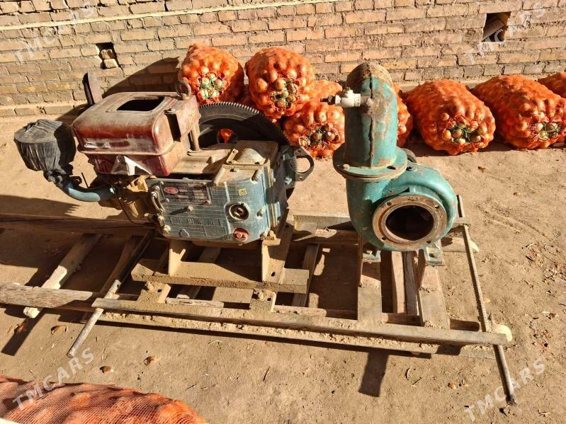 Suw nasos - Kerki - img 2