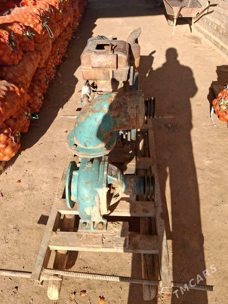 Suw nasos - Kerki - img 1