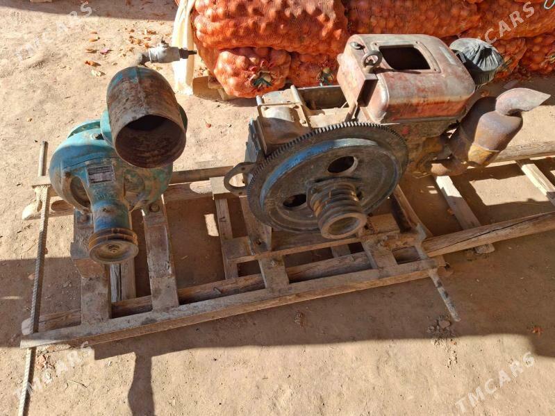 Suw nasos - Kerki - img 3