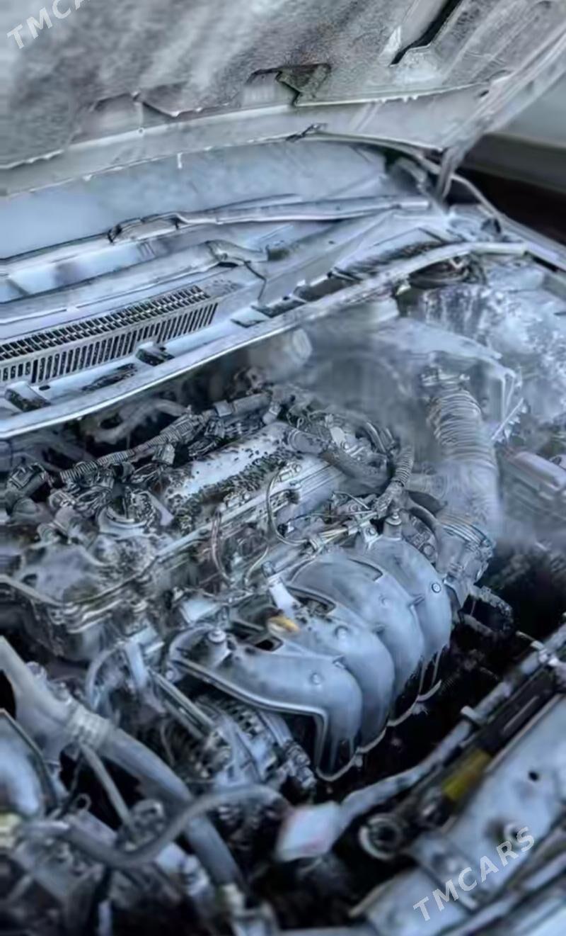 moyka isgar oglan gerek - Анев - img 3