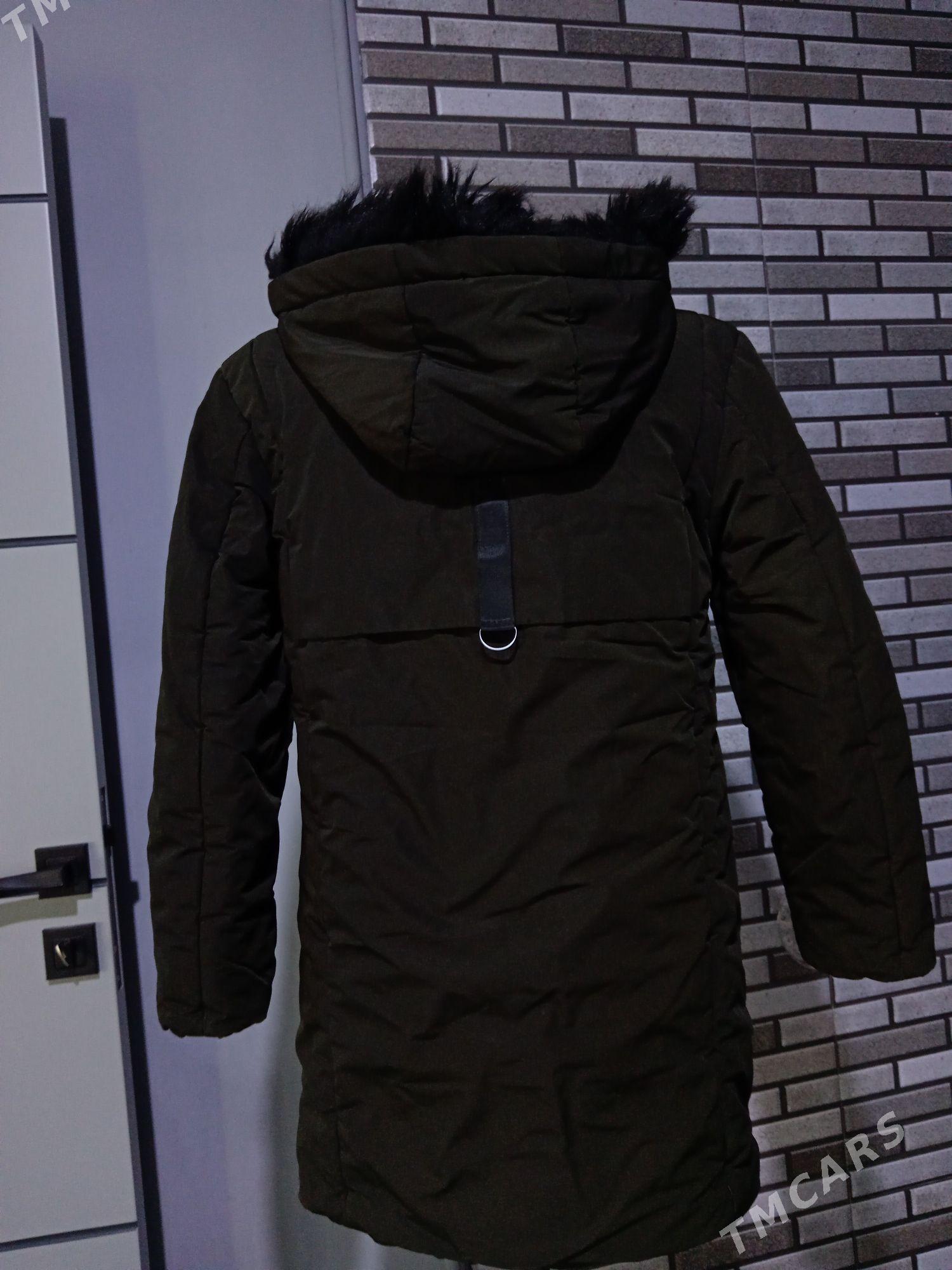 Oglan kurtga - Gumdag - img 3