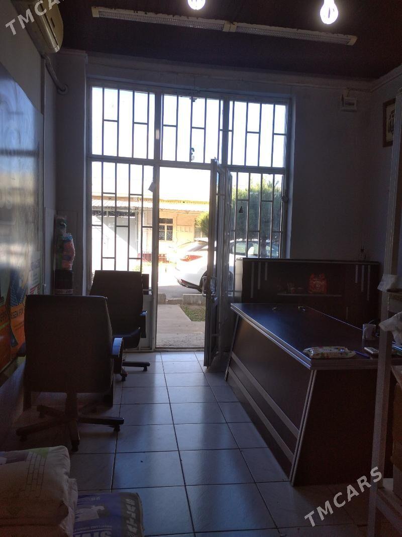 Satlyk - Туркменабат - img 2